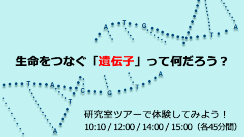 バイオサイエンス学科オープンキャンパス～生命をつなぐ「遺伝子」って何だろう？～