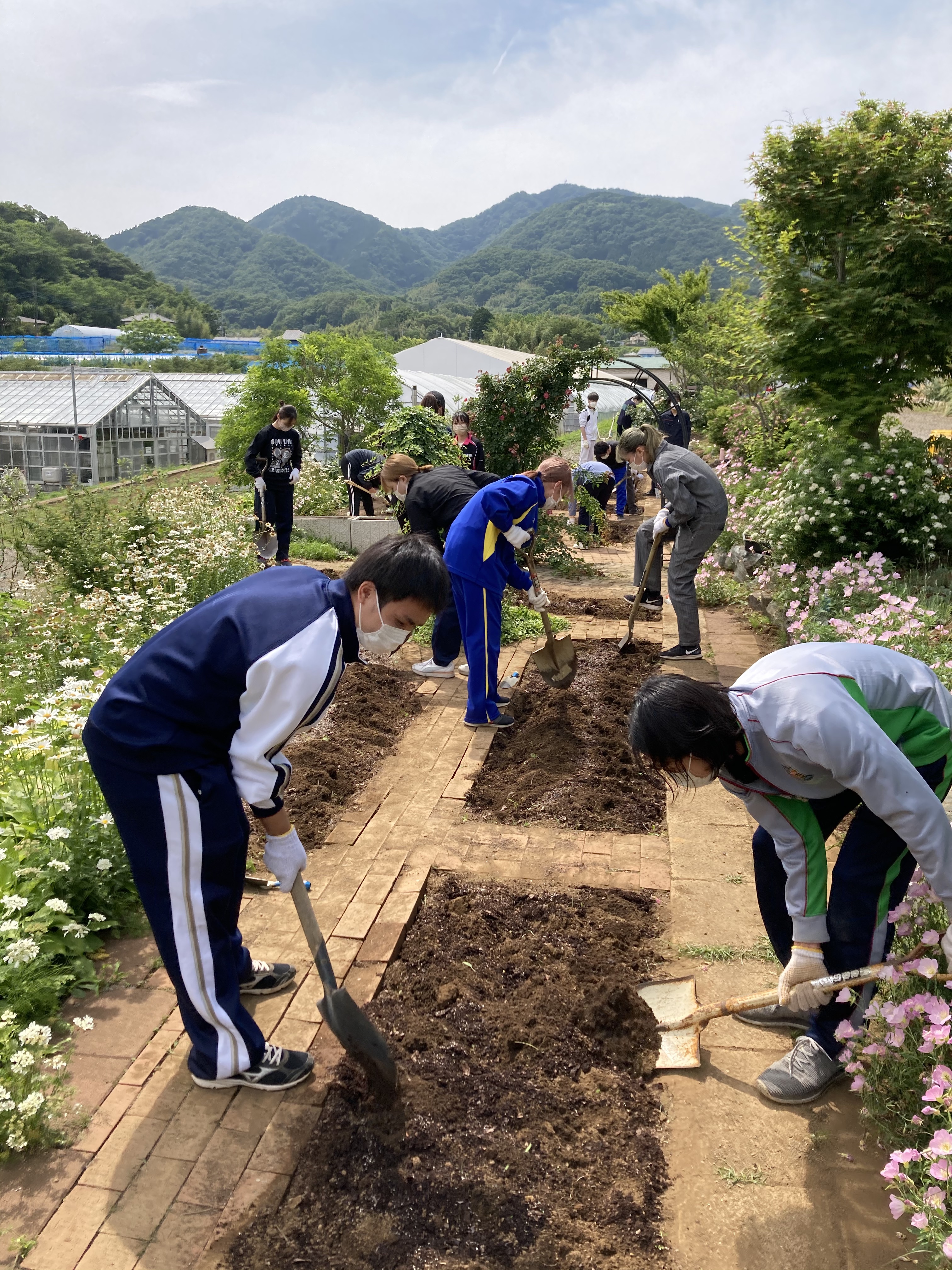 農場実習が始まりました