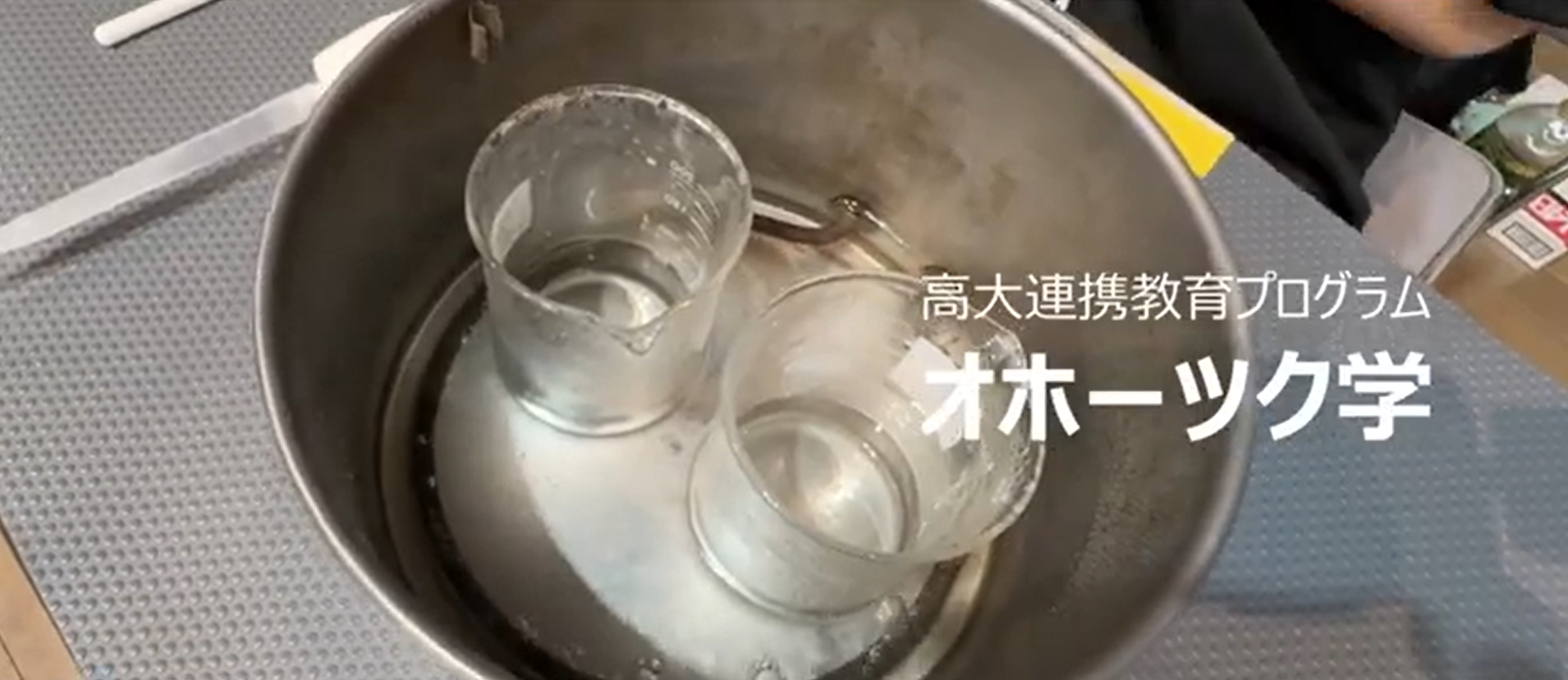 【オホーツク学2025】オホーツクで追究するリアルビューティー【生物産業学部の高大連携】②