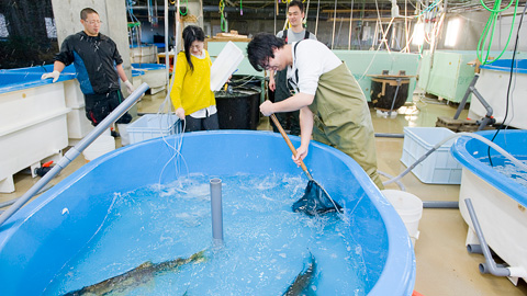 オホーツク臨海研究センター