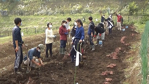 園芸学研究室（高畑ゼミ）