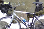 checktheweb_0172_img_03.jpg