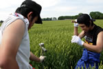 checktheweb_0184_img_08.jpg