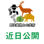 野生動物との共存