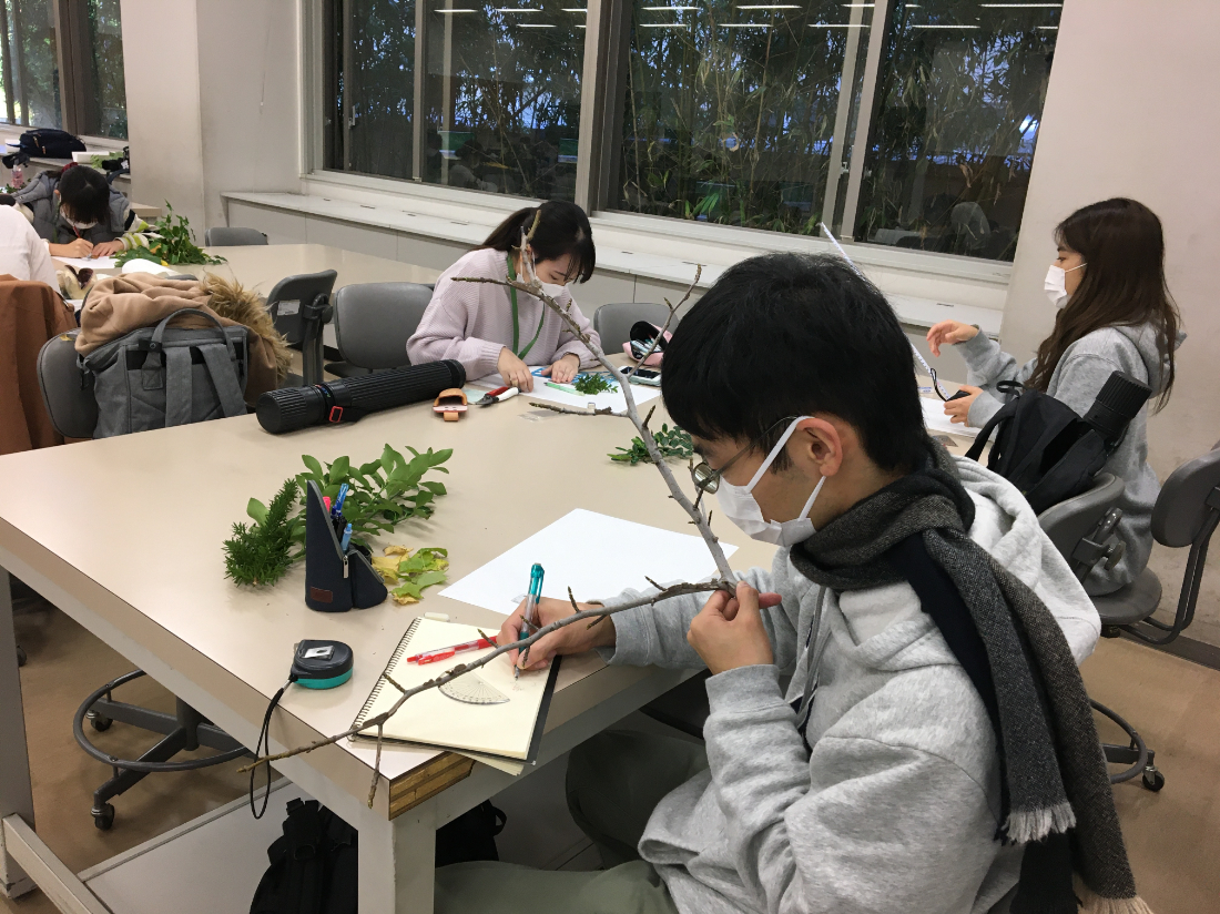 授業_植栽2.JPG
