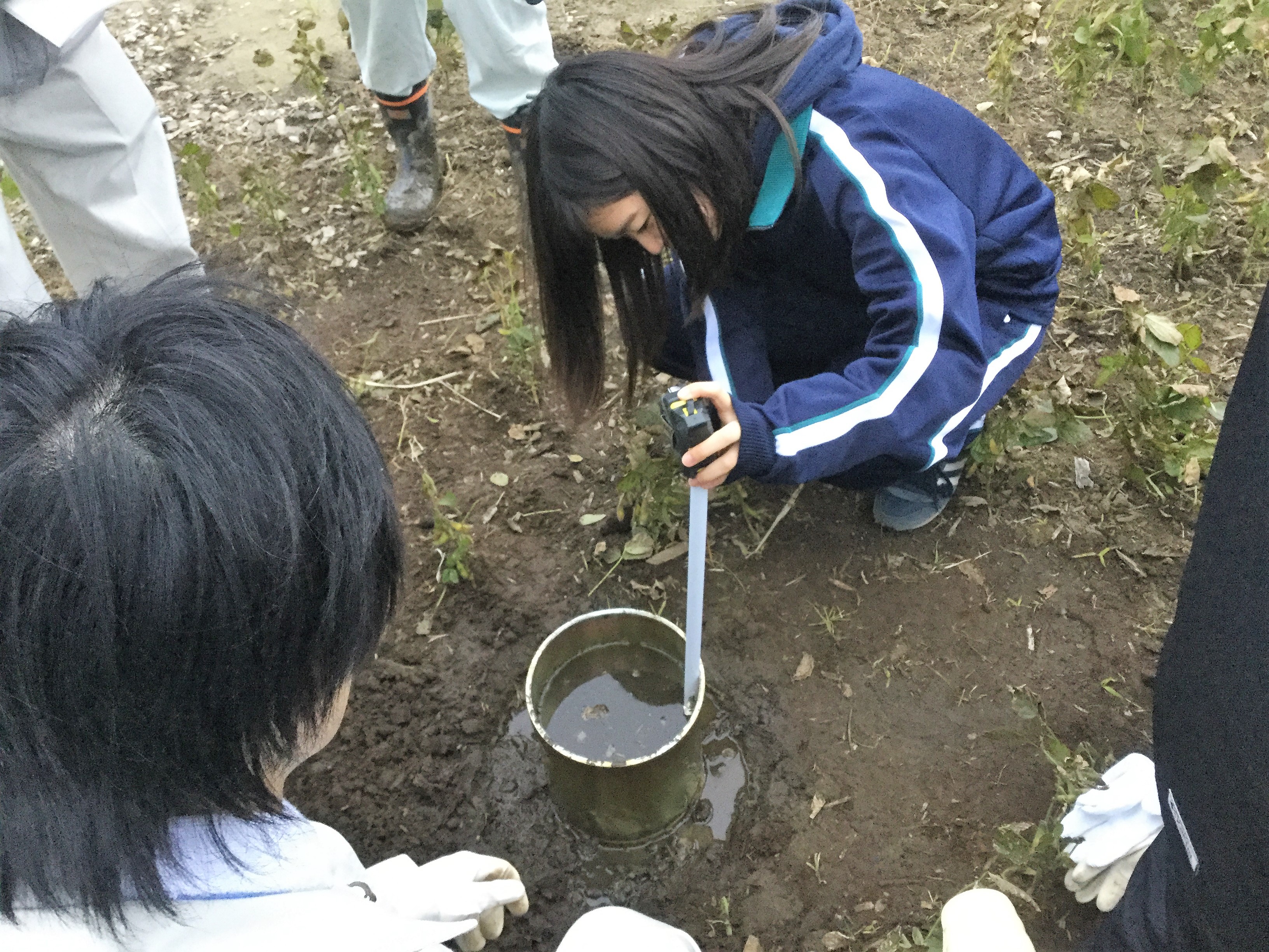 土壌サンプル採取方法