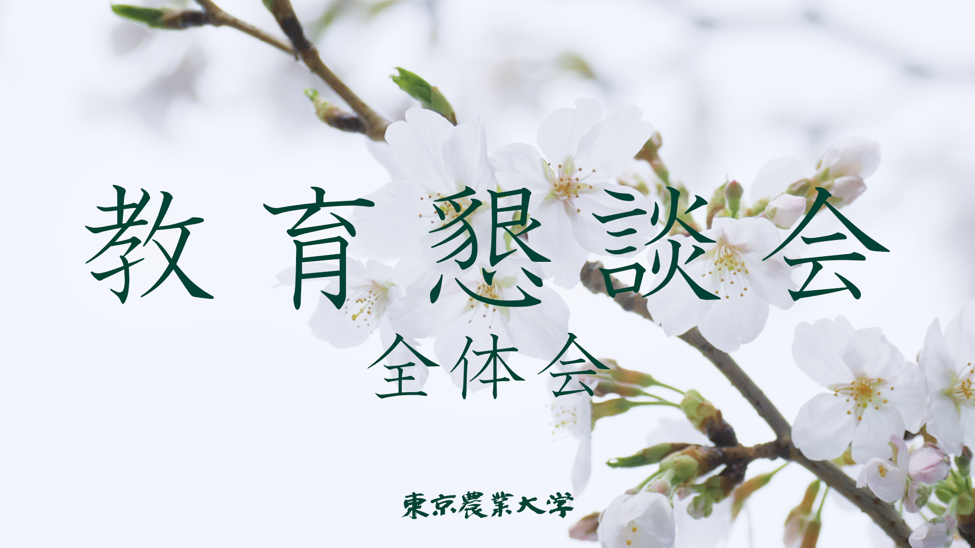 【2025年度世田谷 入学式】教育懇談会全体会【東京農業大学】
