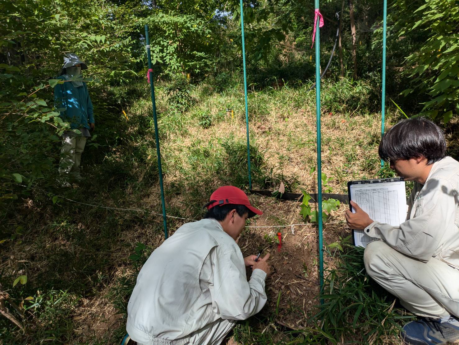 野外調査.jpg