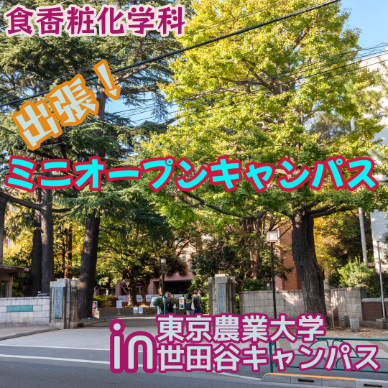 出張ミニオープンキャンパス in 世田谷！