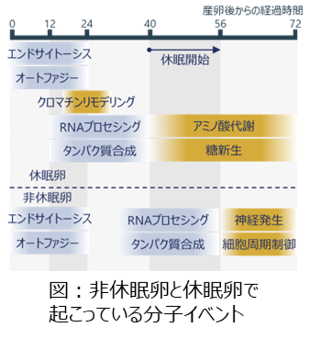fig2.png