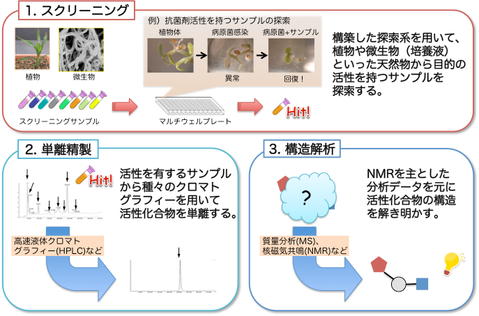 研究紹介｜生物有機化学研究室 | 東京農業大学