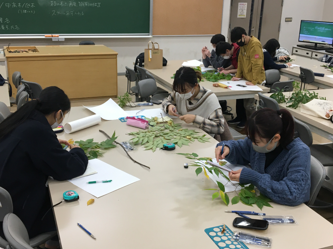 授業_植栽3.JPG