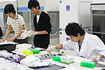 checktheweb_0199_img_06.jpg