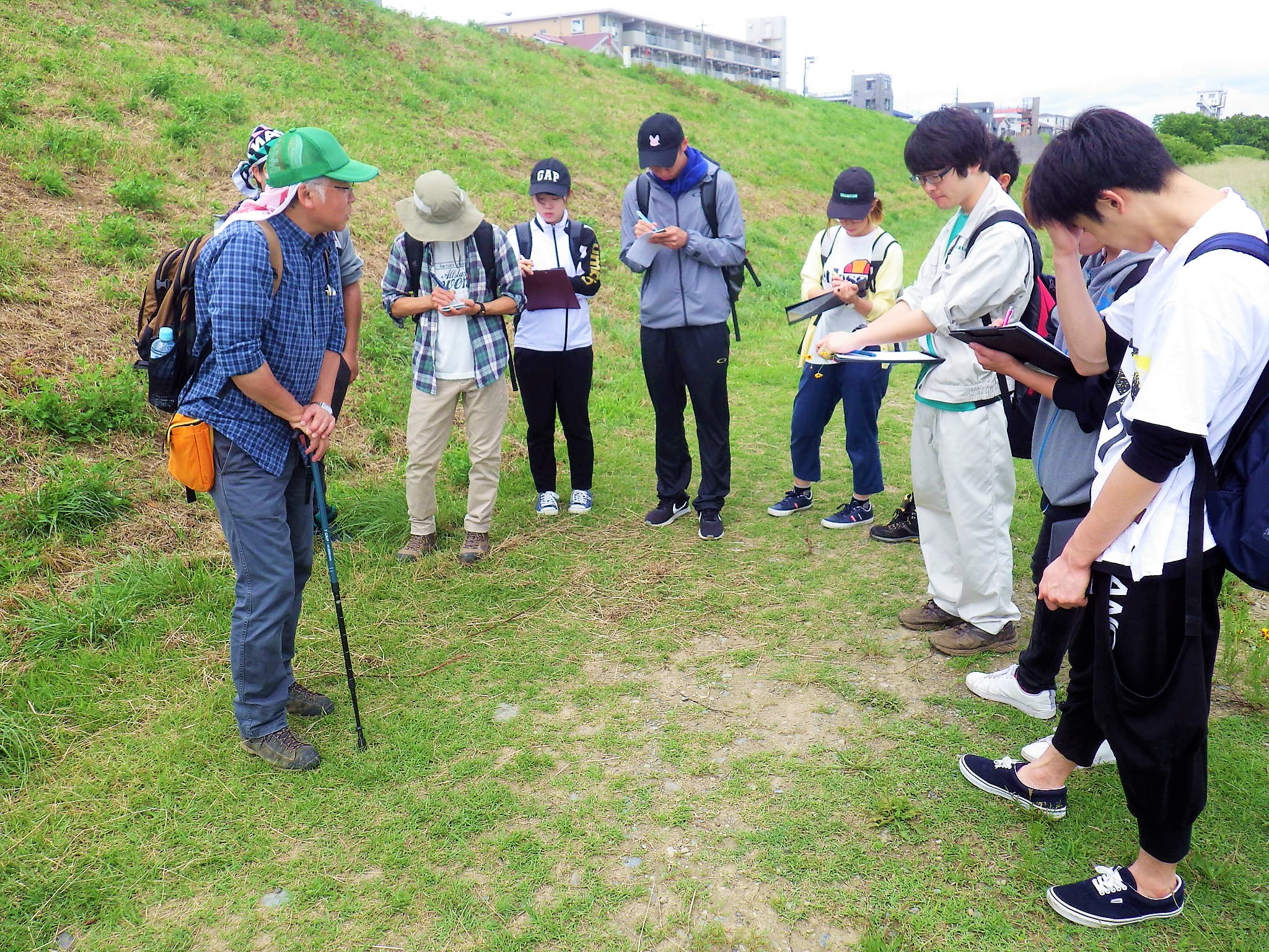 植生1