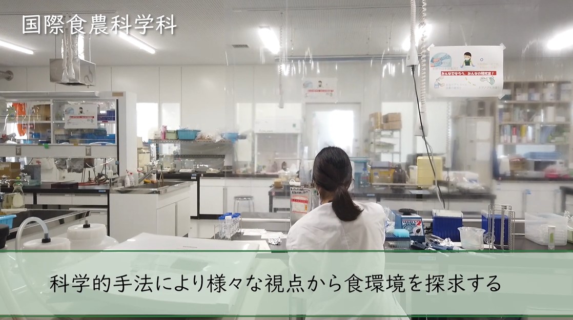 国際食料情報学部