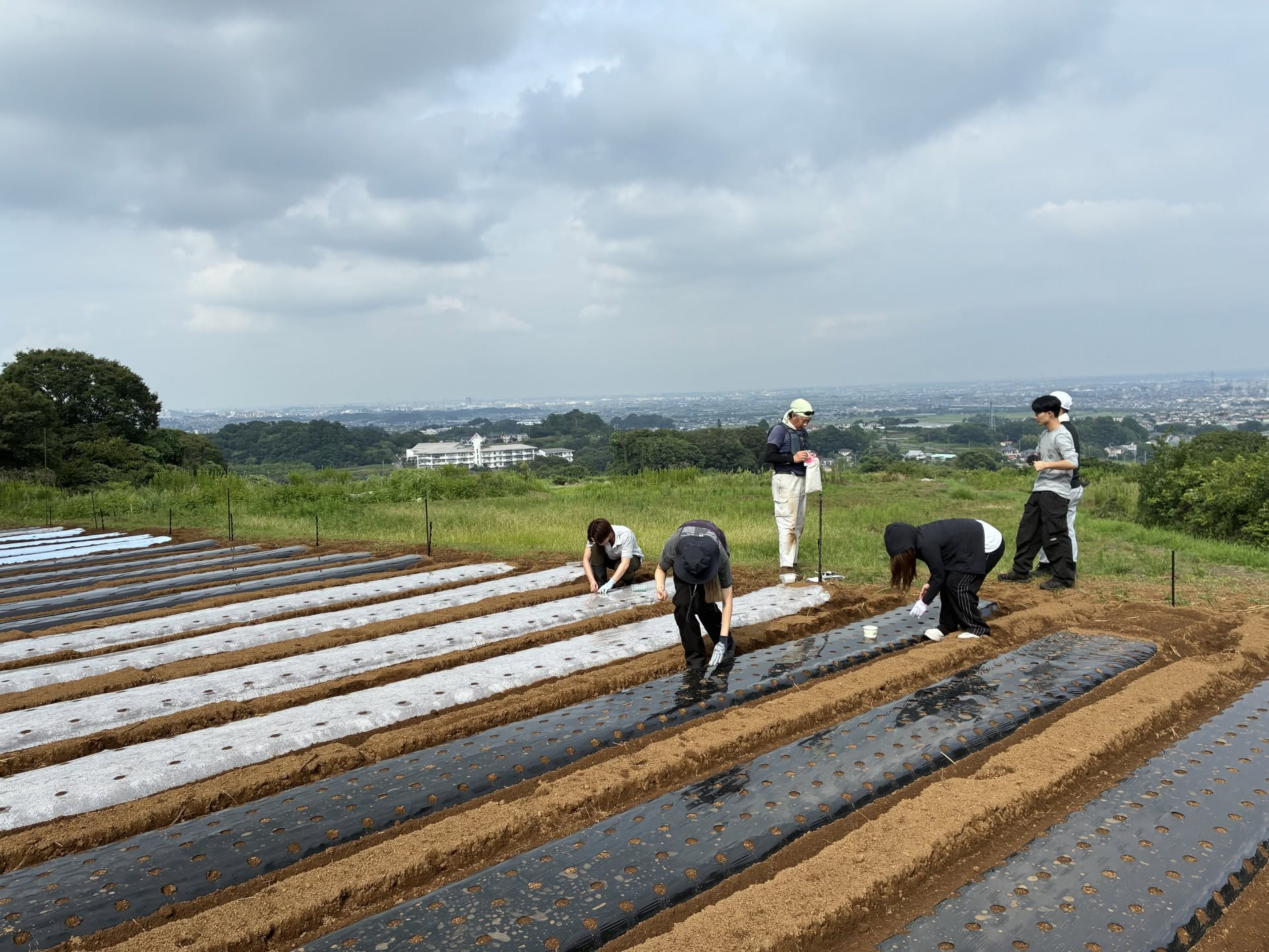 東京農業大学の学生が産学官民連携による自然共生サイト「生物多様性豊かな“湘南平塚ゆるぎ 里地里山”」で農作業を体験