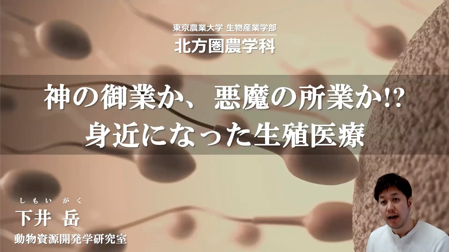 神の御業か、悪魔の所業か!? 身近になった生殖医療【下井 岳】