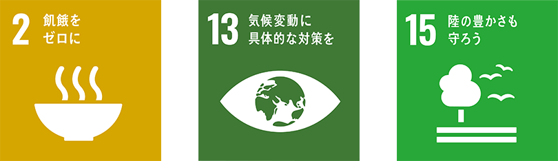 sdg_icon_.png