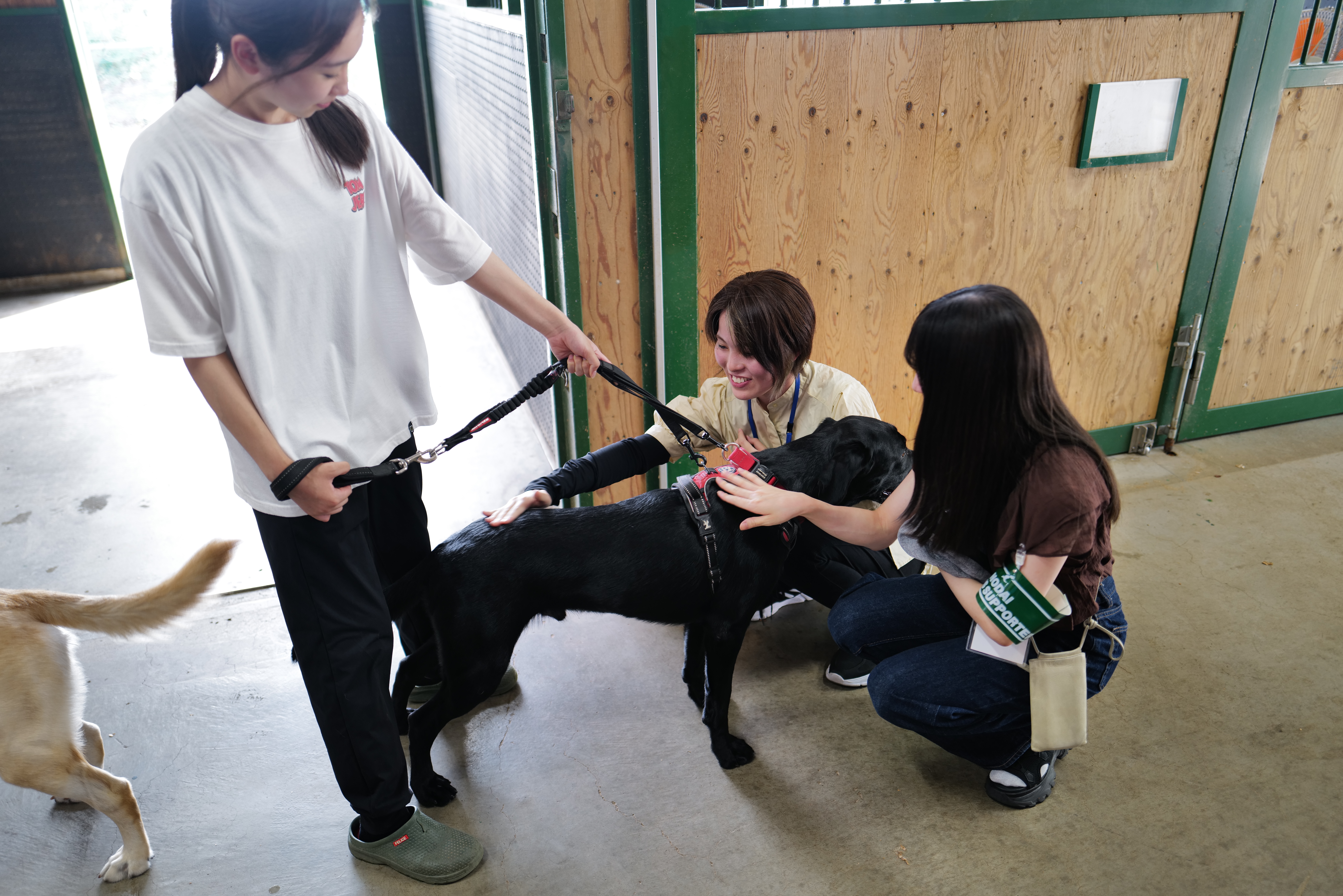 写真④.JPG