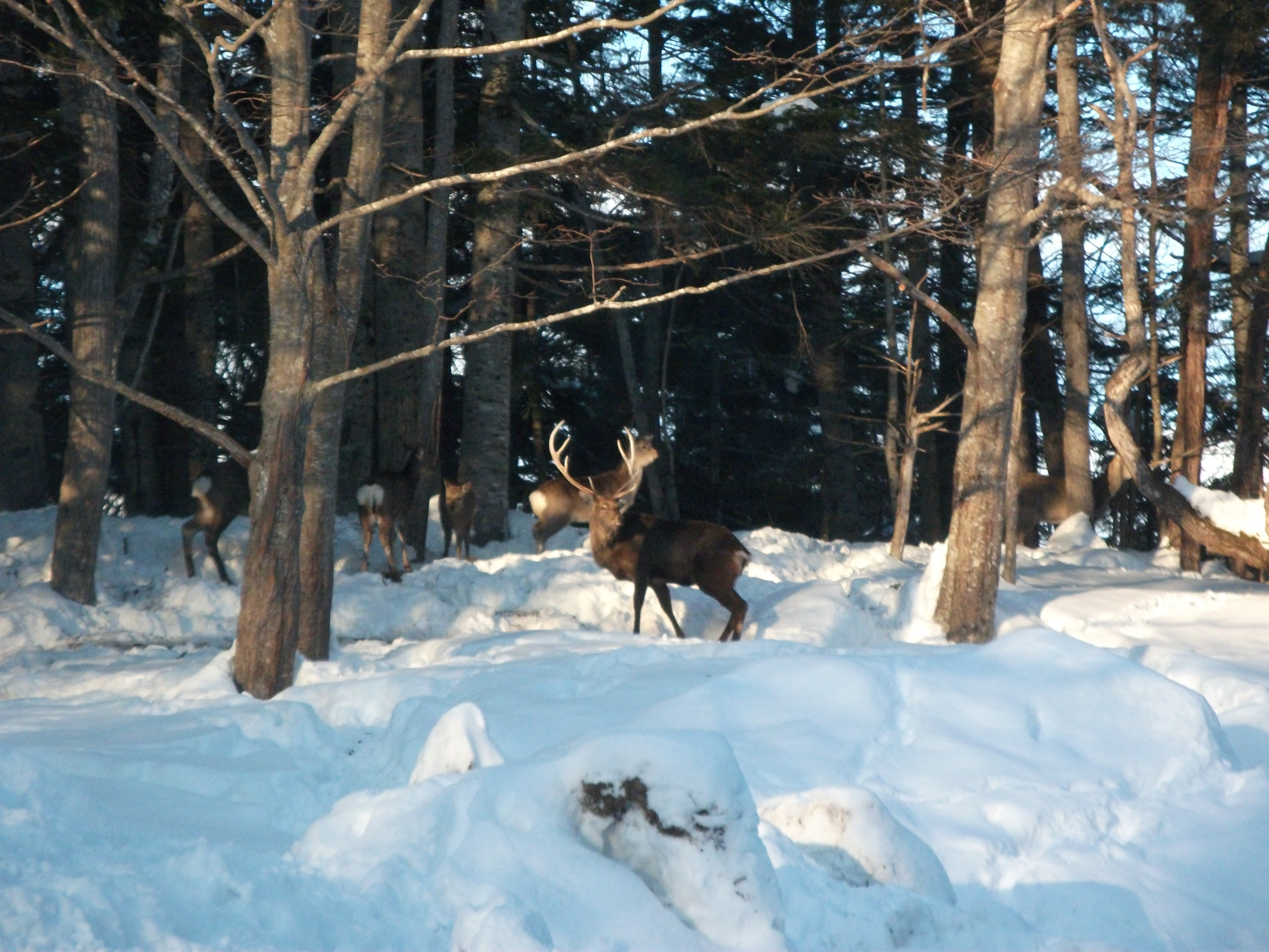 【3月21日(土)】オープンキャンパス開催!!
冬の生物産業学部を体験できる唯一のオープンキャンパスです。