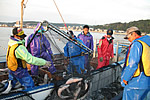 checktheweb_0199_img_04.jpg