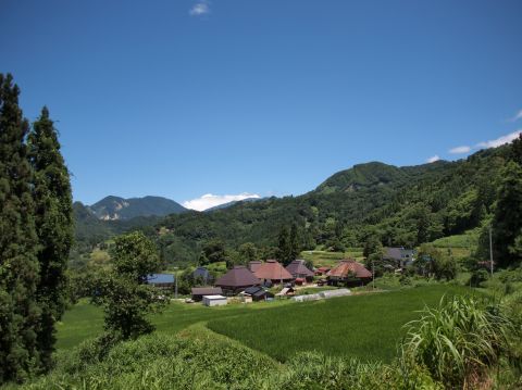 5月29日（日）地域創成科学科　オンラインキャンパスツアーは、世田谷キャンパスと長野県の里山を生中継でつなぎ開催します。