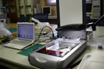 checktheweb_0184_img_09.jpg