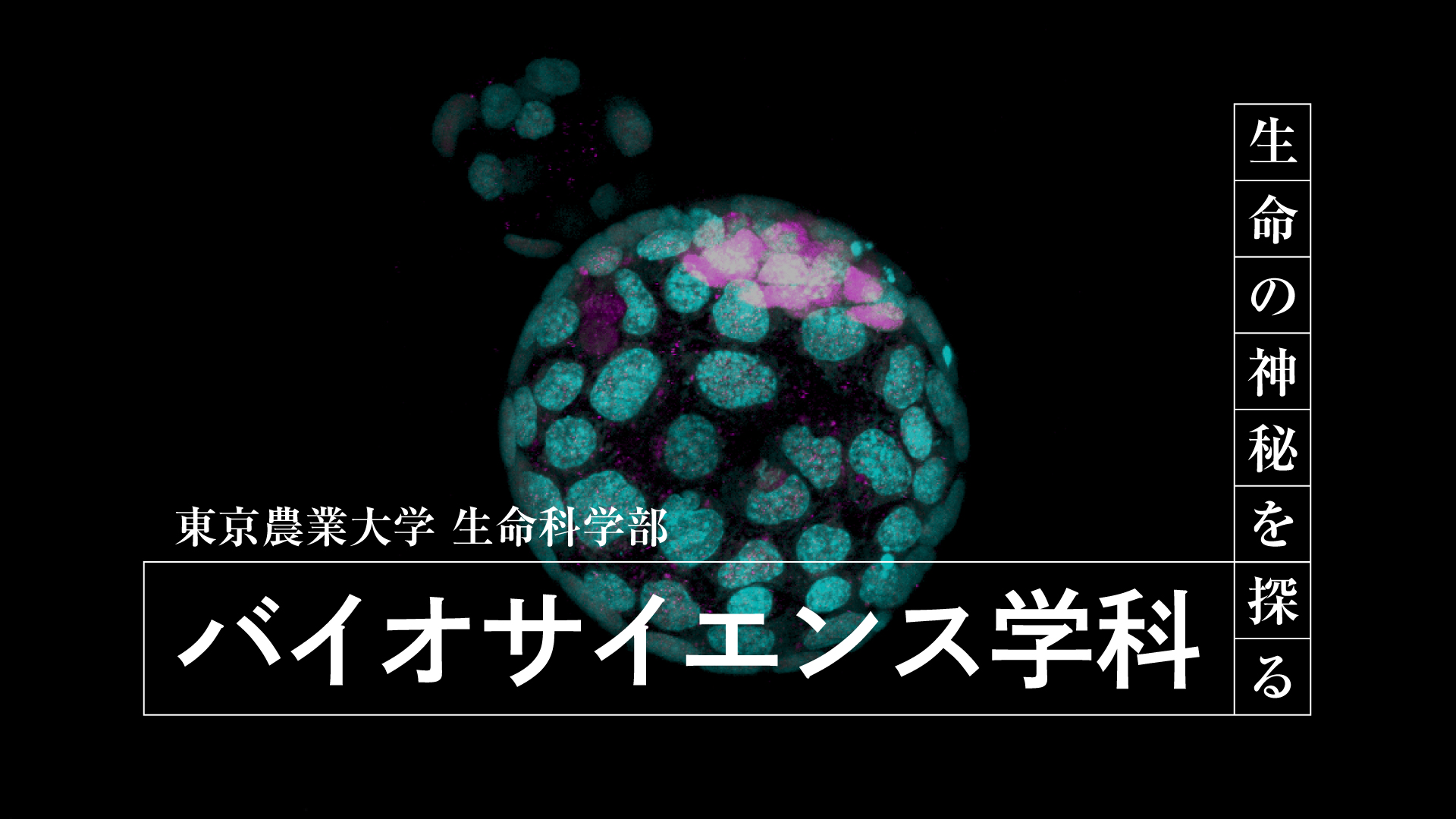 バイオサイエンス学科