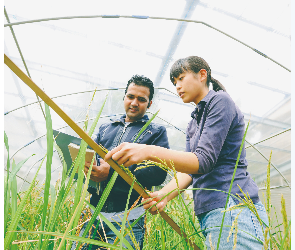 List of Supervisors at Graduate School of Agriculture, Graduate School of  Applied Bioscience, Graduate School of International Food and Agricultural Studies for 2026