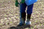 checktheweb_0188_img_08.jpg