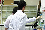 checktheweb_0189_img_05.jpg