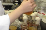 checktheweb_0262_img_05.jpg