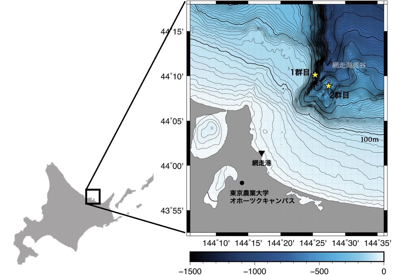 図1. クロツチクジラの群れの発見位置