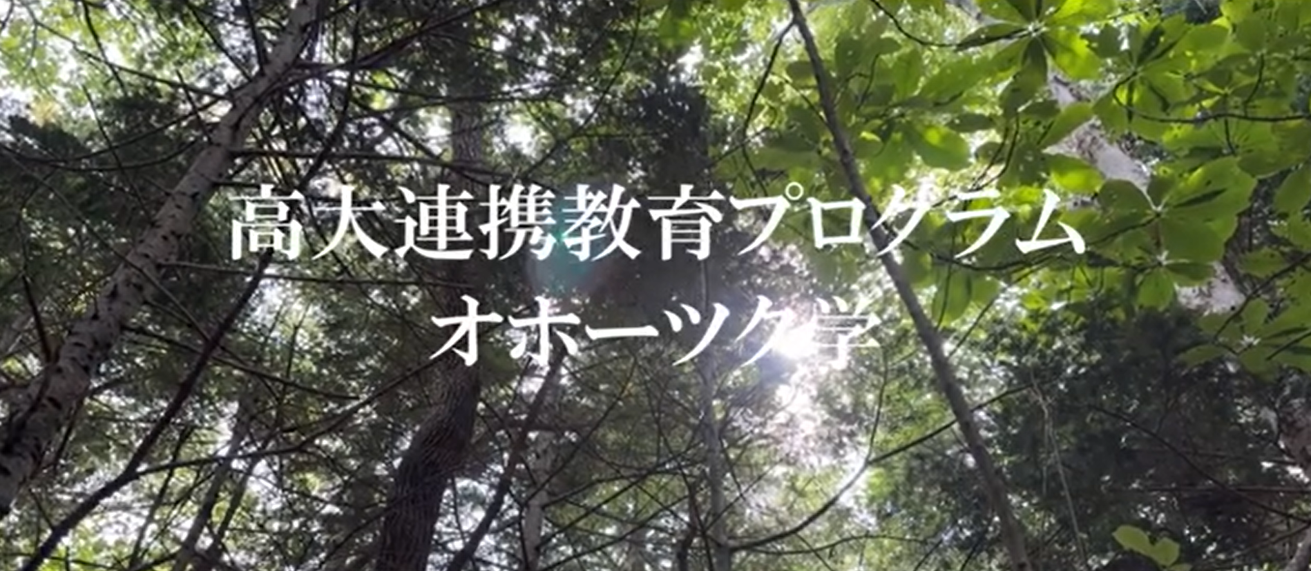 【オホーツク学2025】オホーツクで追究するリアルビューティー【生物産業学部の高大連携】③