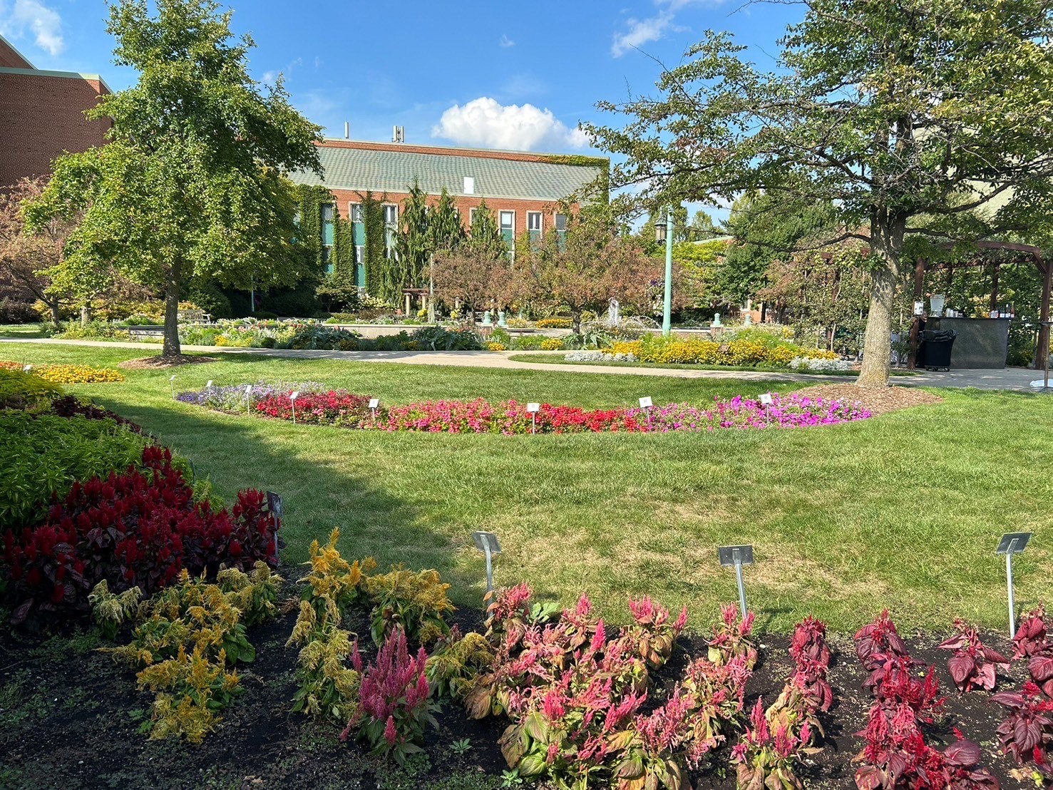 msu03.jpg