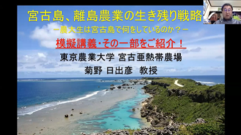 宮古島・離島農業の生き残り戦略ー農大生は宮古島で何をしているのかー