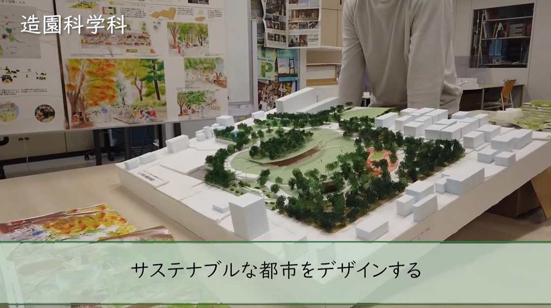 地域環境科学部