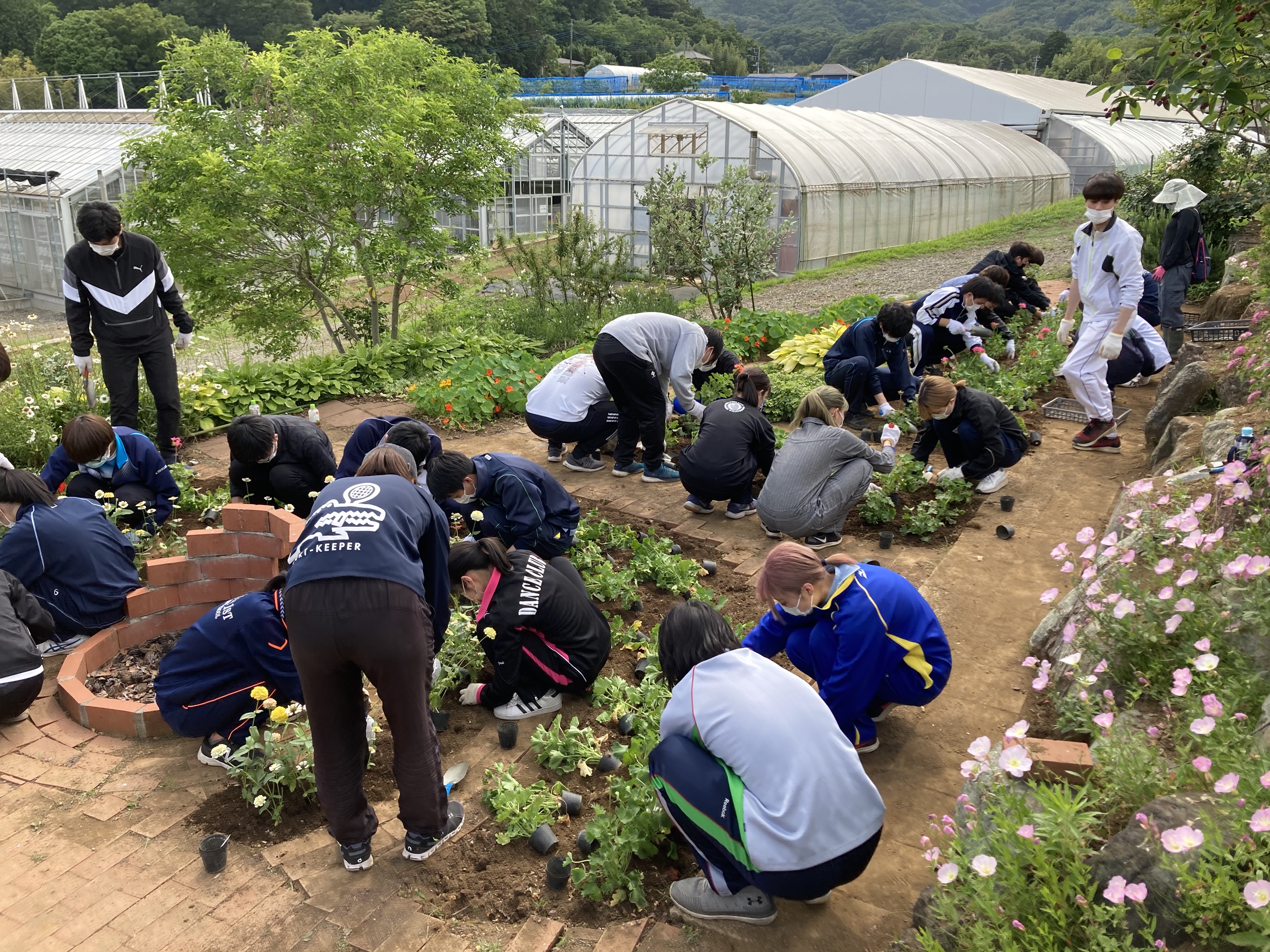 農場実習が始まりました