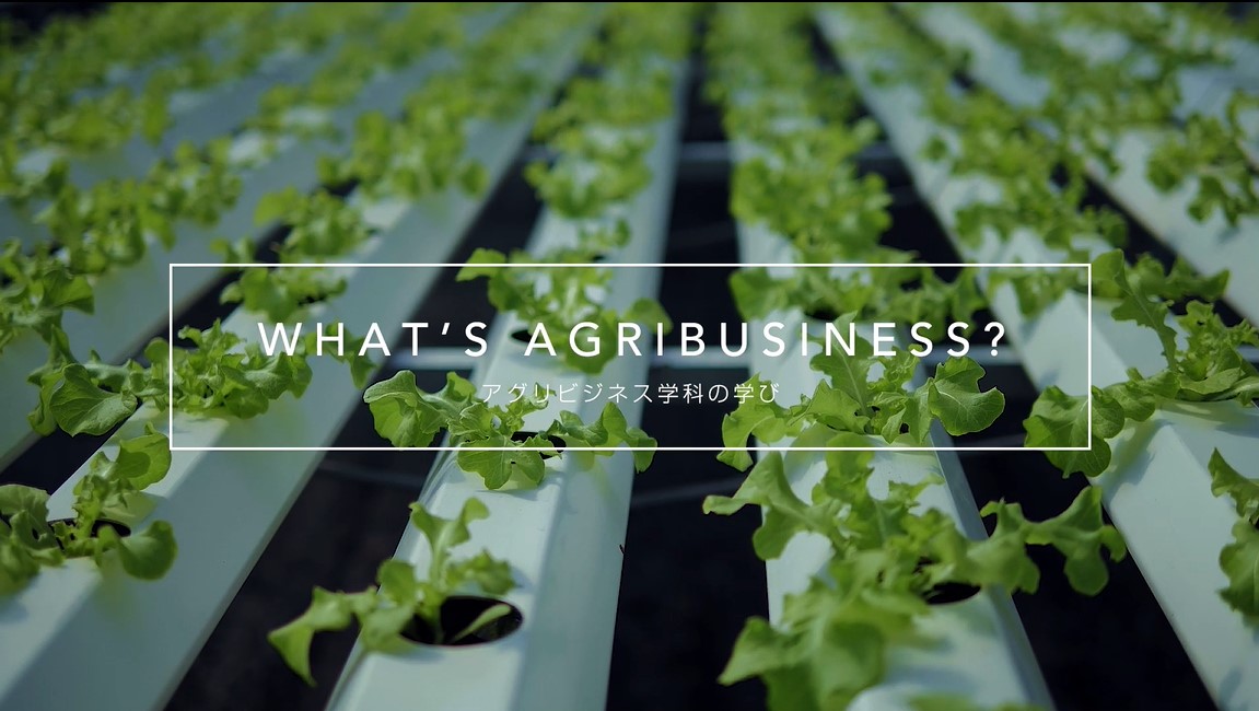 What’ｓ Agribusiness