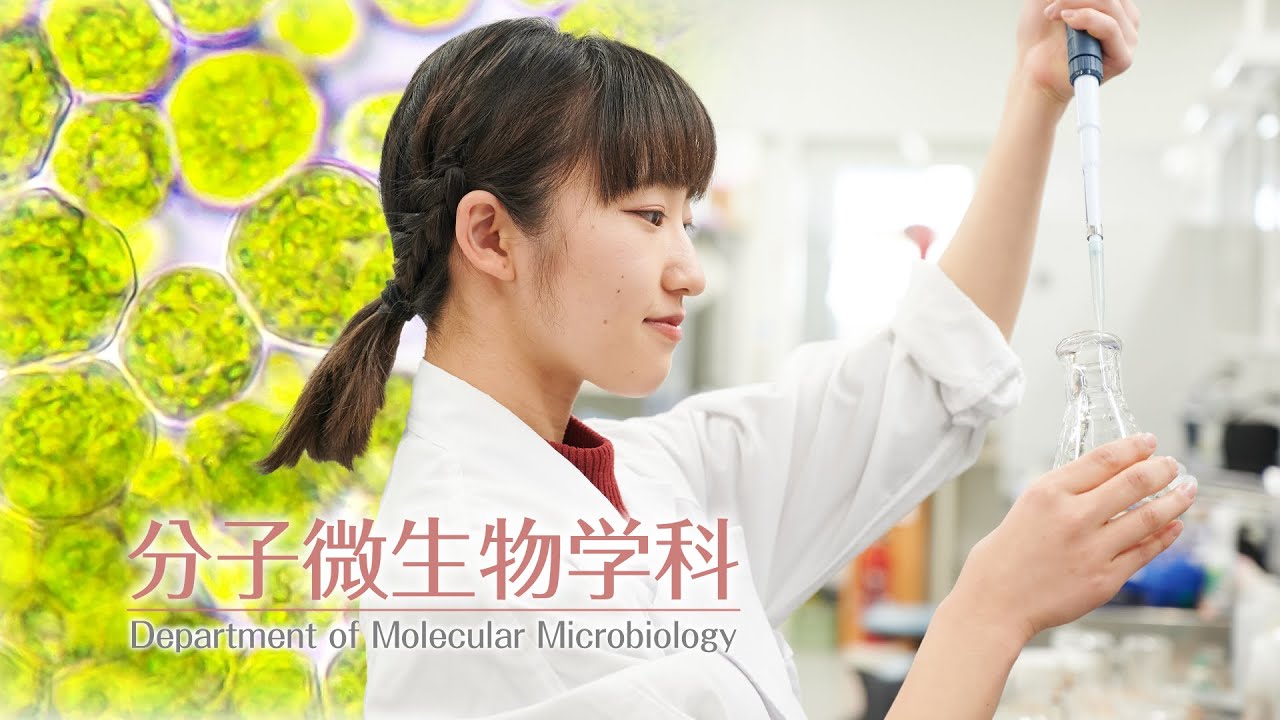 分子微生物学科