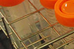 checktheweb_0208_img_05.jpg