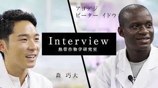 ヤムイモはやせた土壌でも育つ？疑問からの新発見