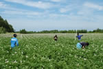 checktheweb_0184_img_04.jpg