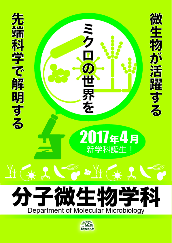 研究室紹介パンフレット