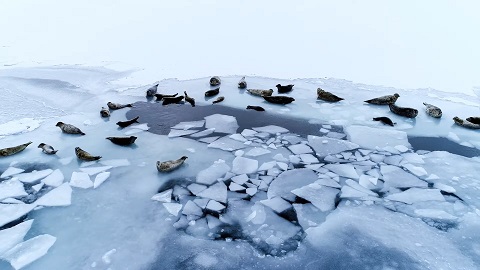 冬の北海道オホーツクキャンパス
海洋水産学科