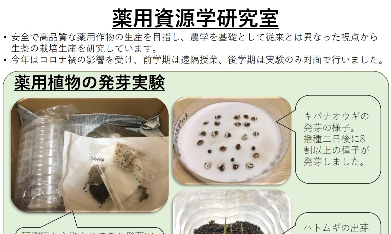 薬用資源学研究室