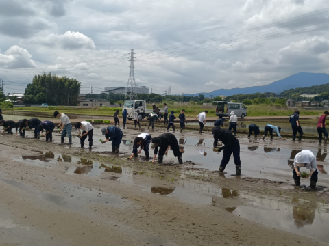 農場実習を行っています