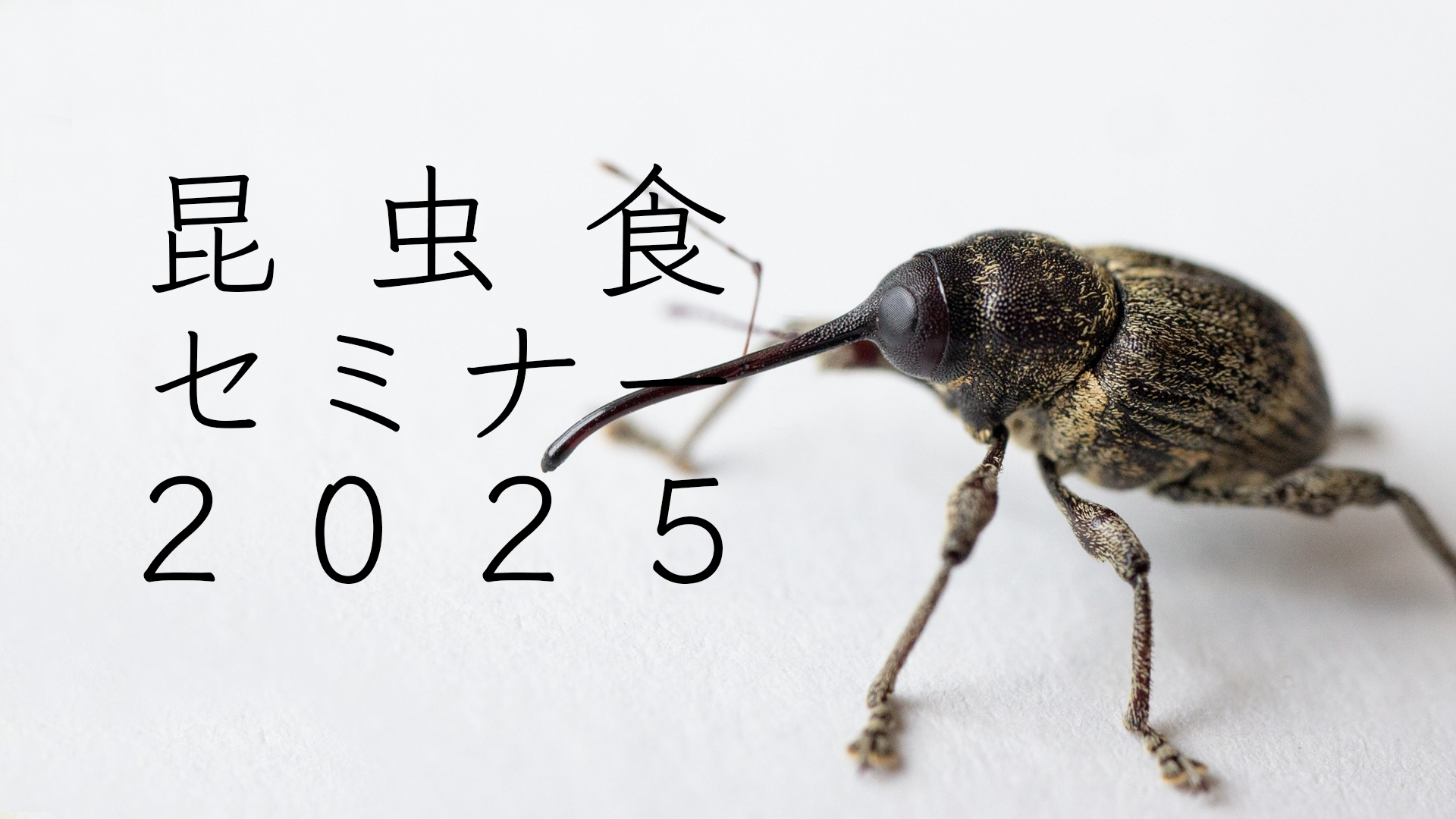 【あの虫も食べたら美味？】昆虫食セミナー2025【東京農業大学】