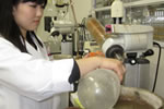 checktheweb_0262_img_08.jpg