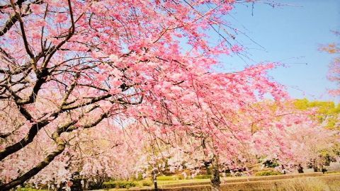 〔2018〕地域創成科学科入学式